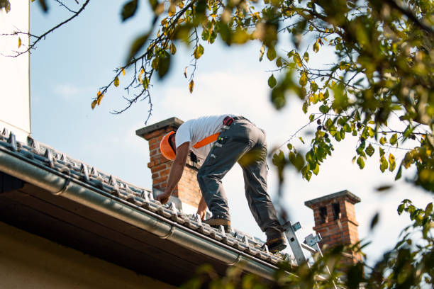 Best Roof Waterproofing Services  in Salida, CO