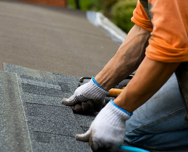 Quick and Trustworthy Emergency Roof Repair Services in Salida, CO