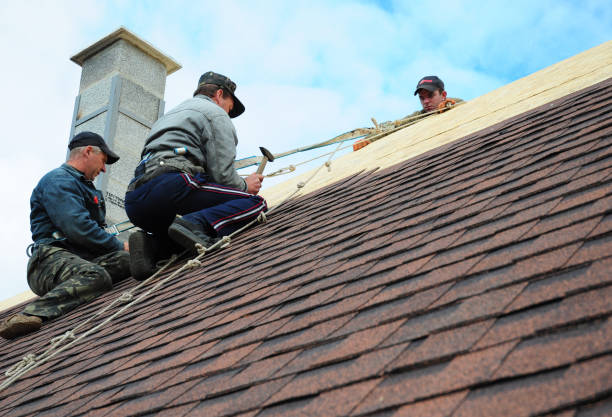Best Roof Gutter Cleaning  in Salida, CO